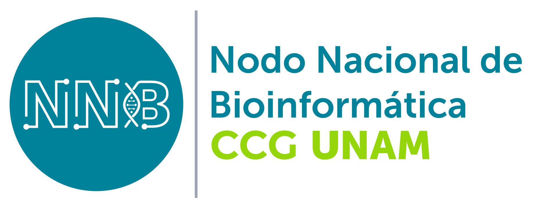 logo ibt